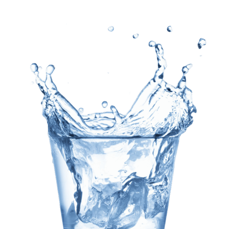 Water Bottle